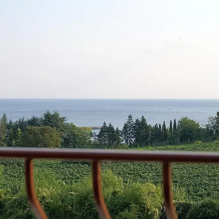 Hotel Family Saint Nicola 3*